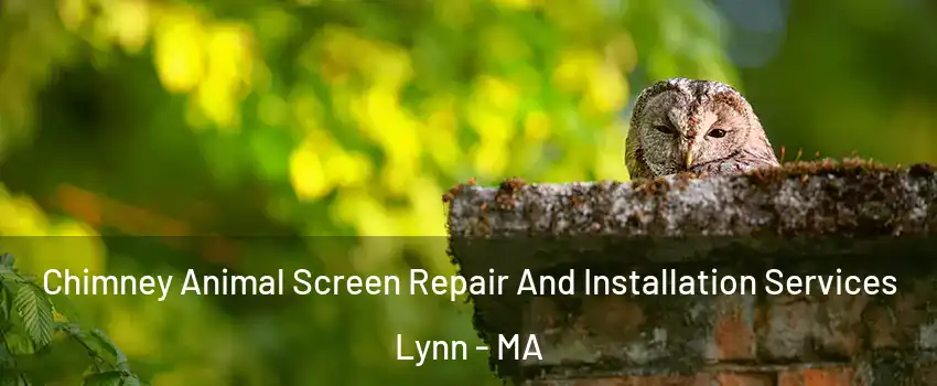 Chimney Animal Screen Repair And Installation Services Lynn - MA