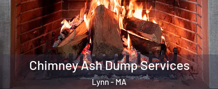  Chimney Ash Dump Services Lynn - MA
