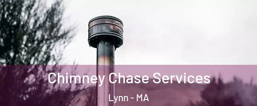  Chimney Chase Services Lynn - MA