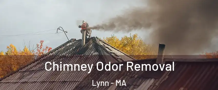  Chimney Odor Removal Lynn - MA