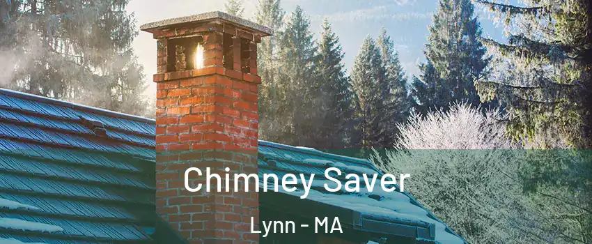  Chimney Saver Lynn - MA