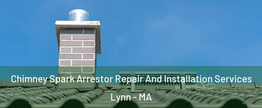  Chimney Spark Arrestor Repair And Installation Services Lynn - MA