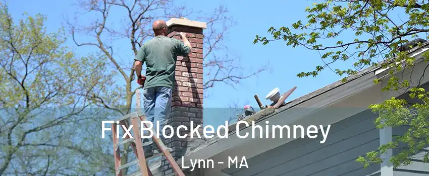  Fix Blocked Chimney Lynn - MA
