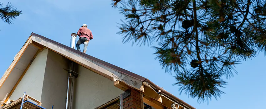 Birds Removal Contractors from Chimney in Lynn, MA